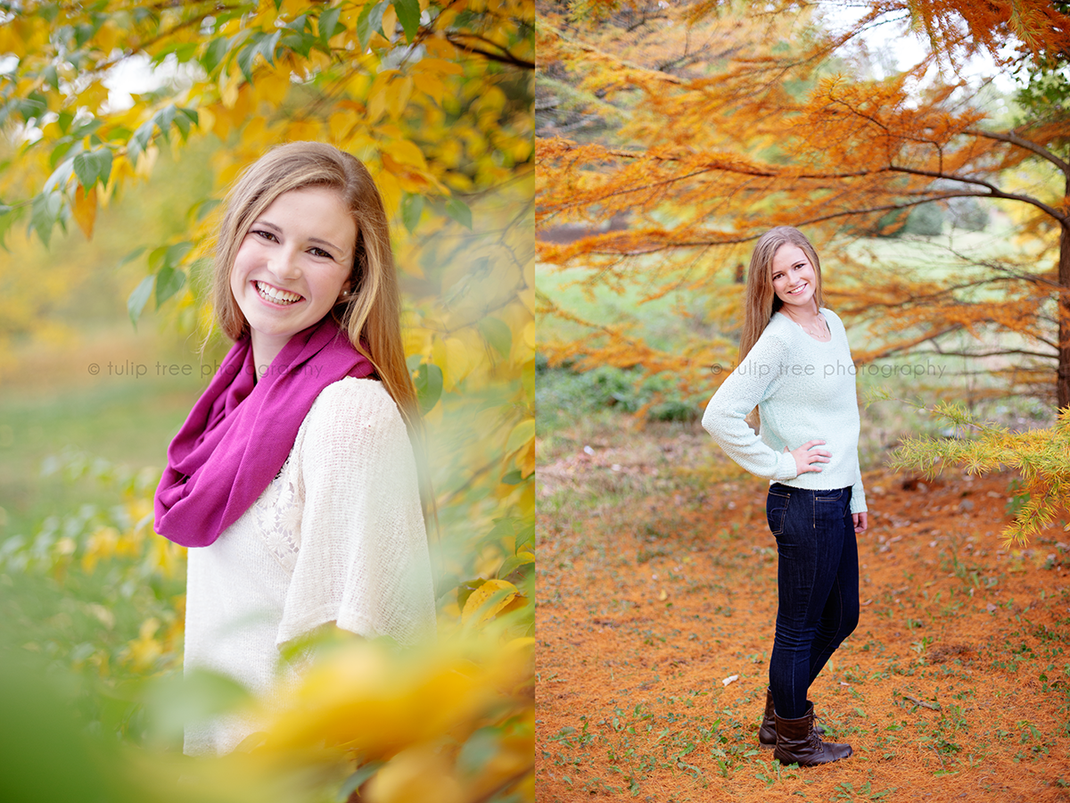 arnold arboretum senior pictures